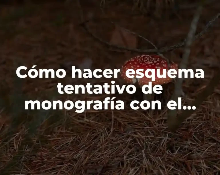 Cómo hacer esquema tentativo de monografía con el método APA