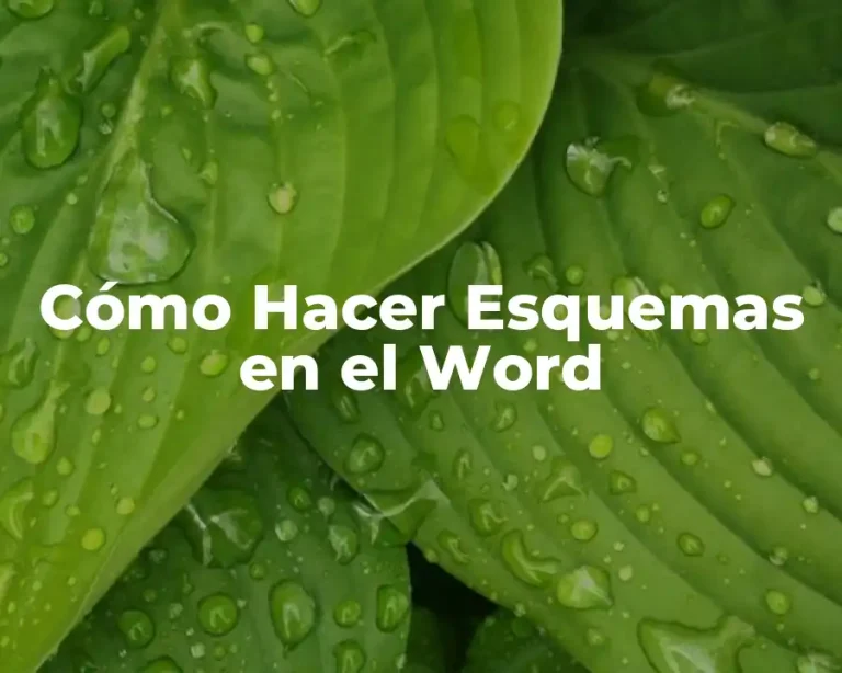 Cómo Hacer Esquemas en el Word