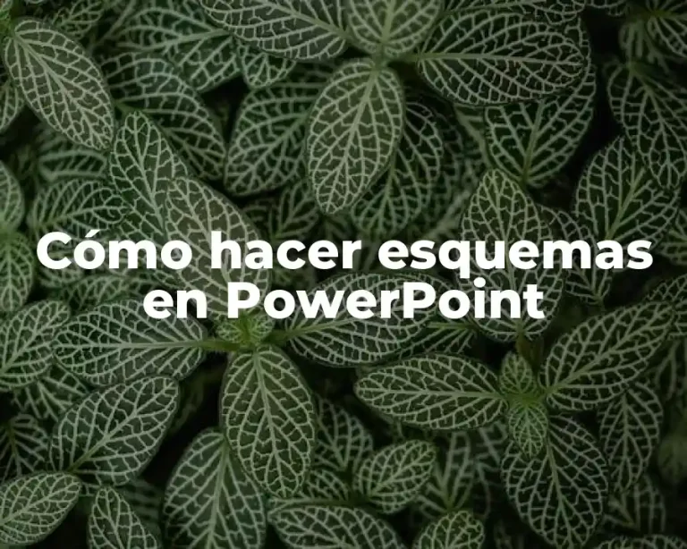 Cómo hacer esquemas en PowerPoint