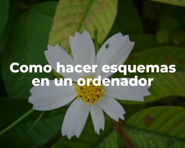 Como hacer esquemas en un ordenador