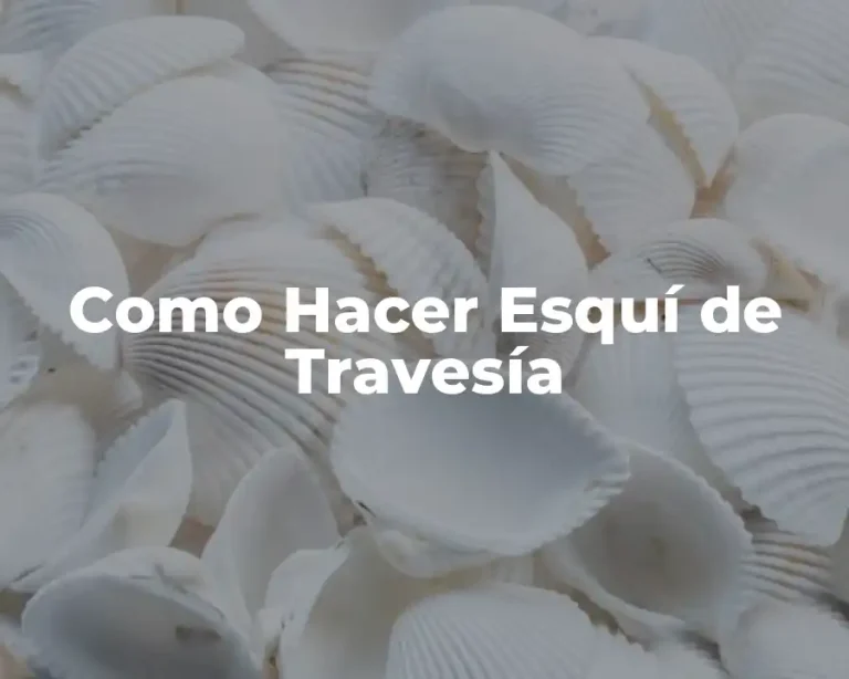 Como Hacer Esquí de Travesía