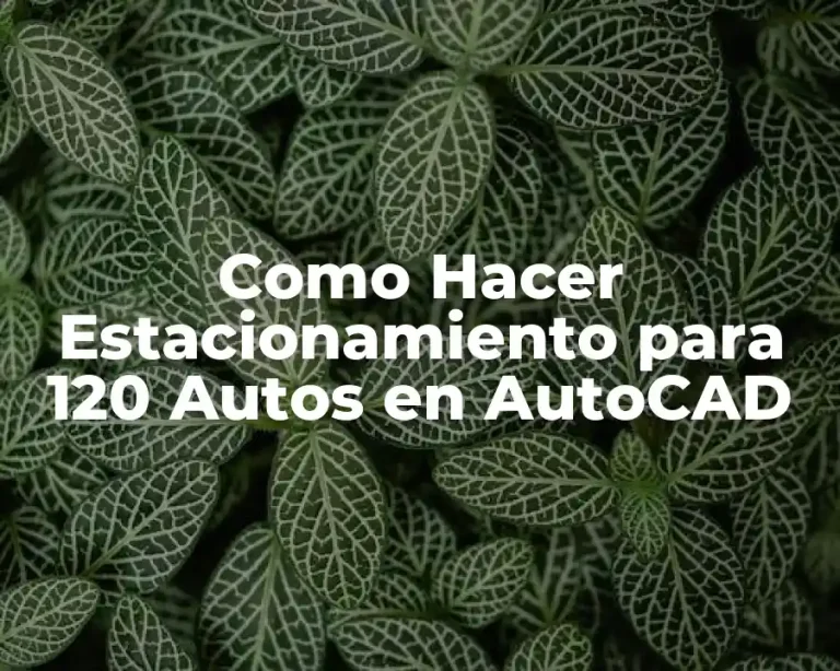 Como Hacer Estacionamiento para 120 Autos en AutoCAD