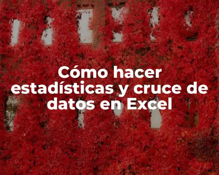 Cómo hacer estadísticas y cruce de datos en Excel