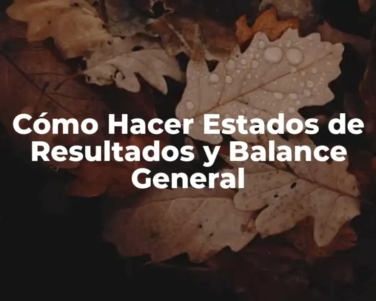 Cómo Hacer Estados de Resultados y Balance General