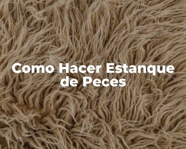 Como Hacer Estanque de Peces