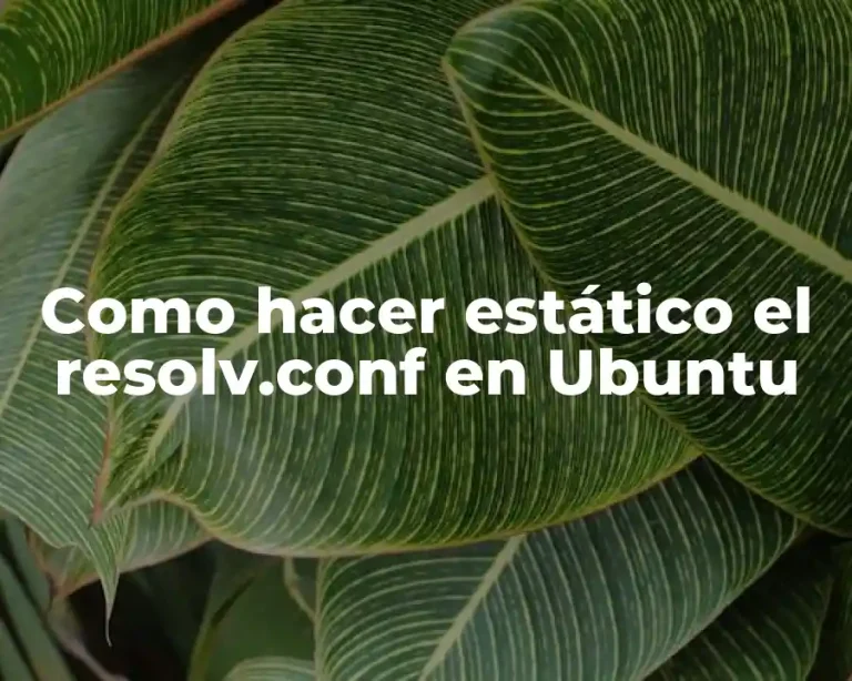 Como hacer estático el resolv.conf en Ubuntu