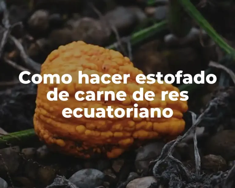 Como hacer estofado de carne de res ecuatoriano