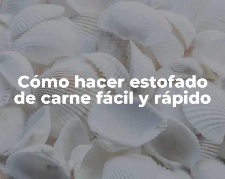Cómo hacer estofado de carne fácil y rápido