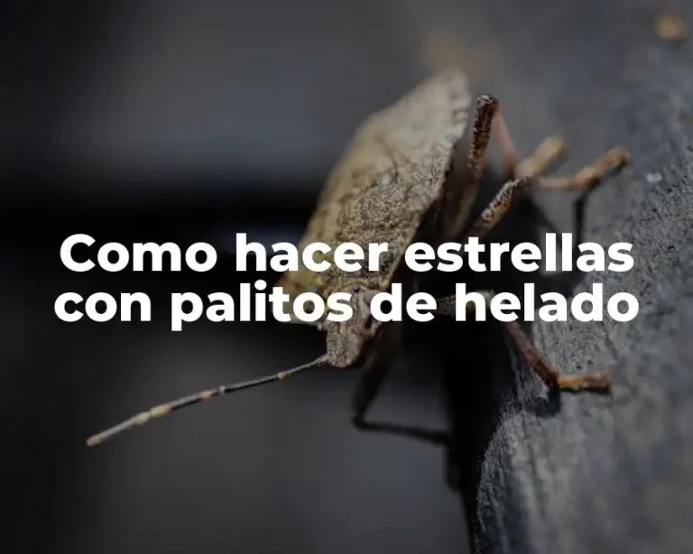 Como hacer estrellas con palitos de helado