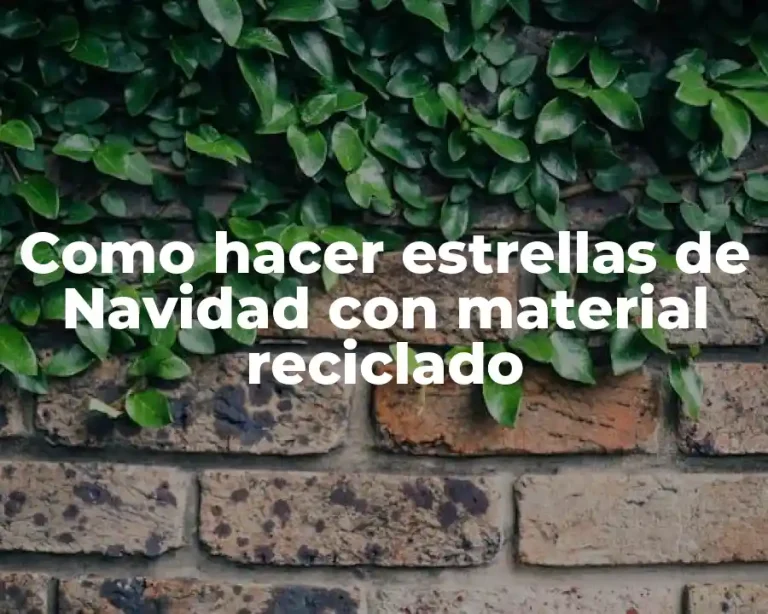 Como hacer estrellas de Navidad con material reciclado