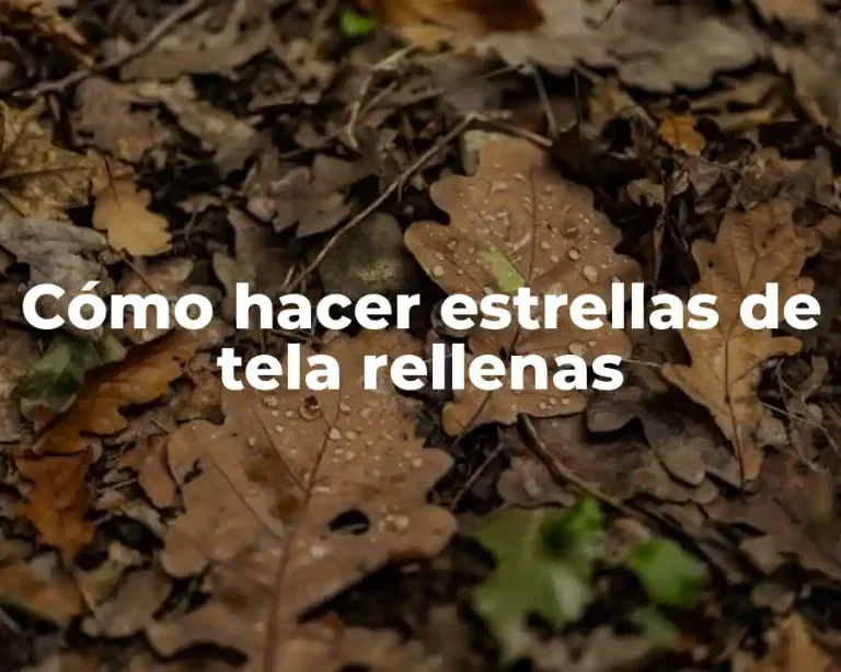 Cómo hacer estrellas de tela rellenas