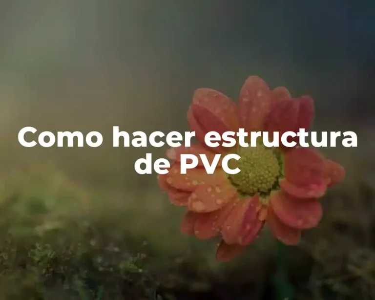 Como hacer estructura de PVC