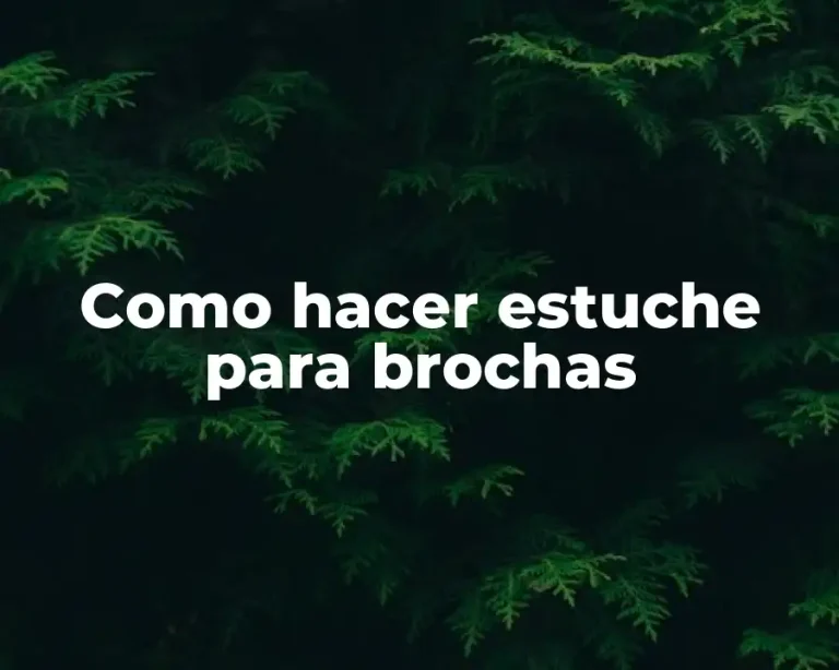 Como hacer estuche para brochas