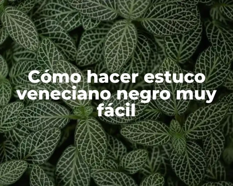 Cómo hacer estuco veneciano negro muy fácil
