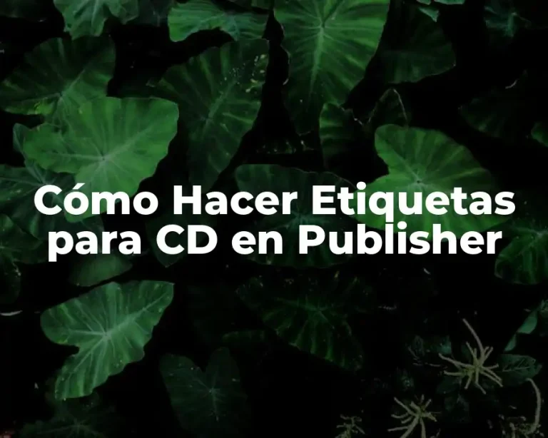Cómo Hacer Etiquetas para CD en Publisher