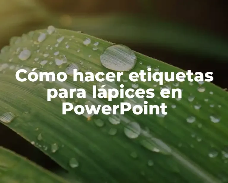 Cómo hacer etiquetas para lápices en PowerPoint