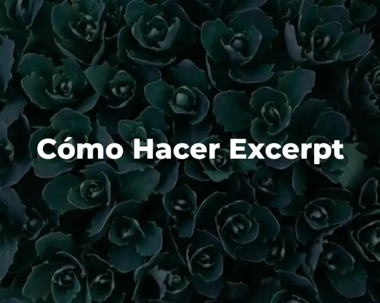 Cómo Hacer Excerpt