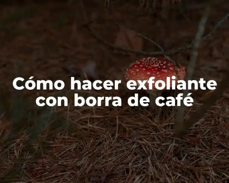 Cómo hacer exfoliante con borra de café