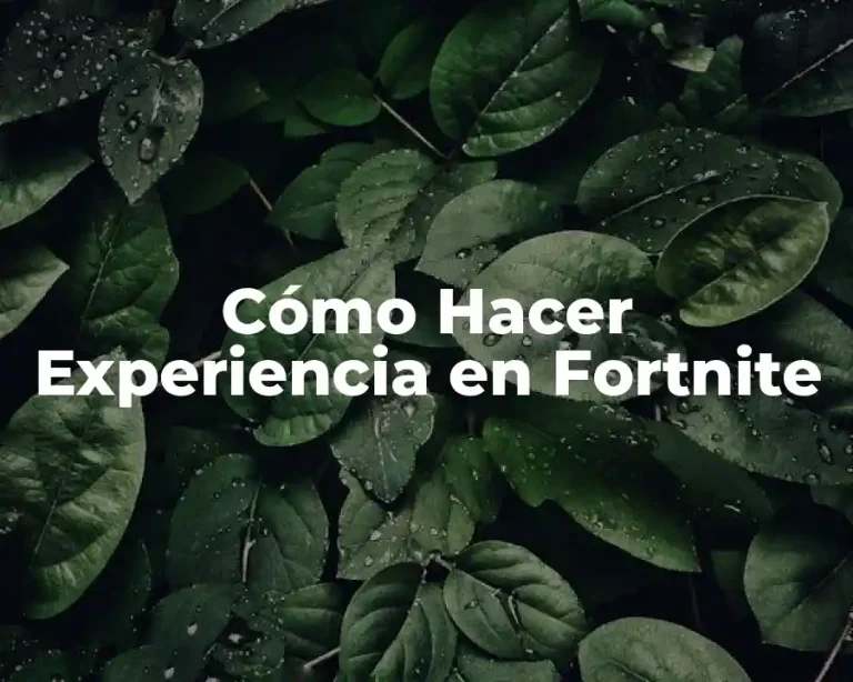 Cómo Hacer Experiencia en Fortnite