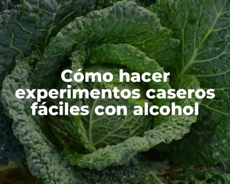 Cómo hacer experimentos caseros fáciles con alcohol