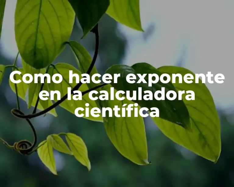 Como hacer exponente en la calculadora científica