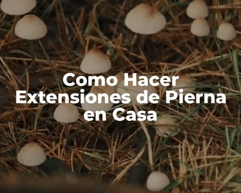Como Hacer Extensiones de Pierna en Casa
