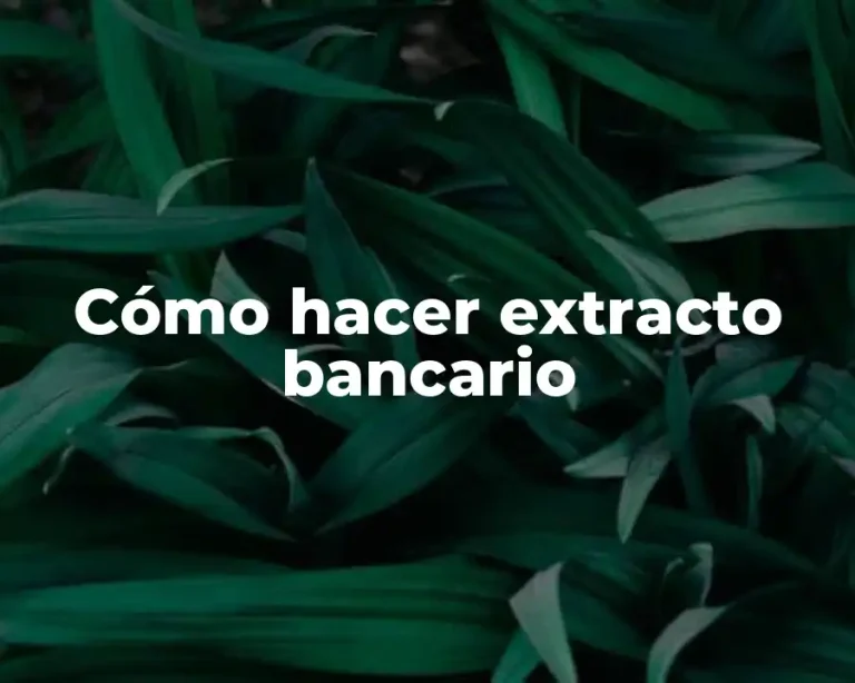 Cómo hacer extracto bancario
