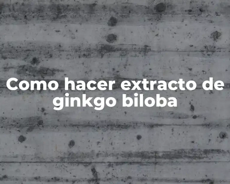 Como hacer extracto de ginkgo biloba