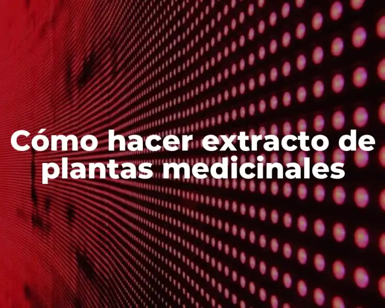 Cómo hacer extracto de plantas medicinales