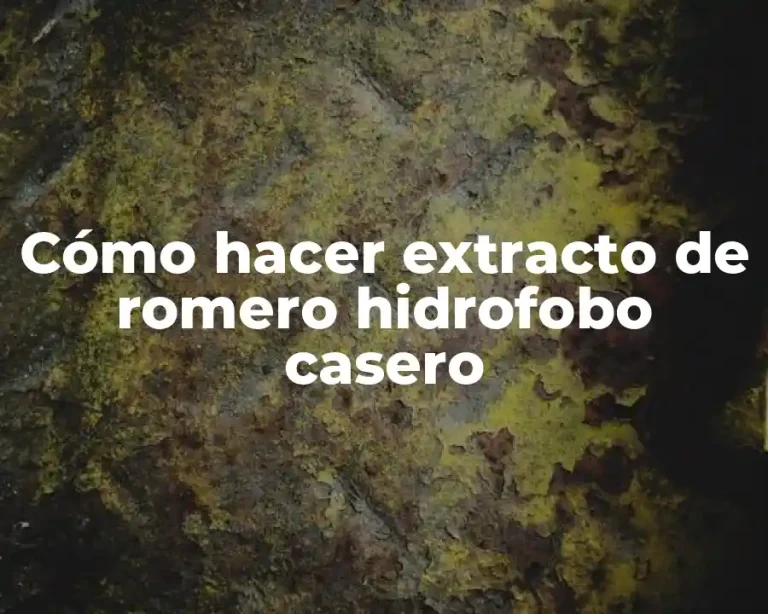 Cómo hacer extracto de romero hidrofobo casero