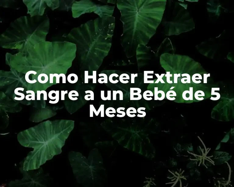 Como Hacer Extraer Sangre a un Bebé de 5 Meses