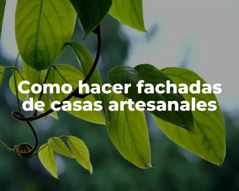 Como hacer fachadas de casas artesanales