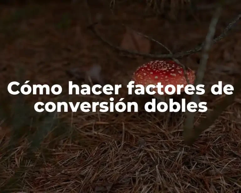 Cómo hacer factores de conversión dobles