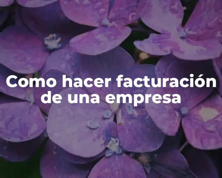 Como hacer facturación de una empresa