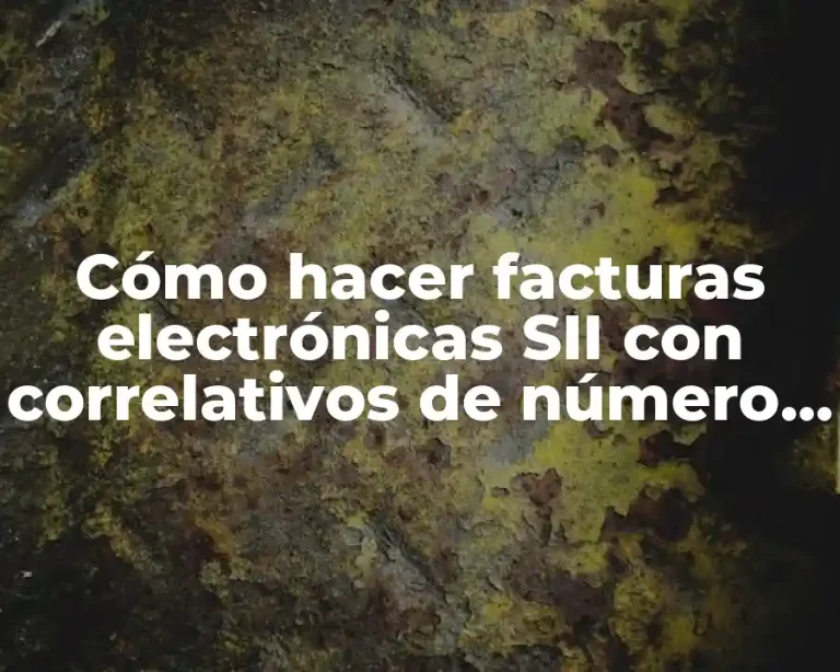 Cómo hacer facturas electrónicas SII con correlativos de número de factura