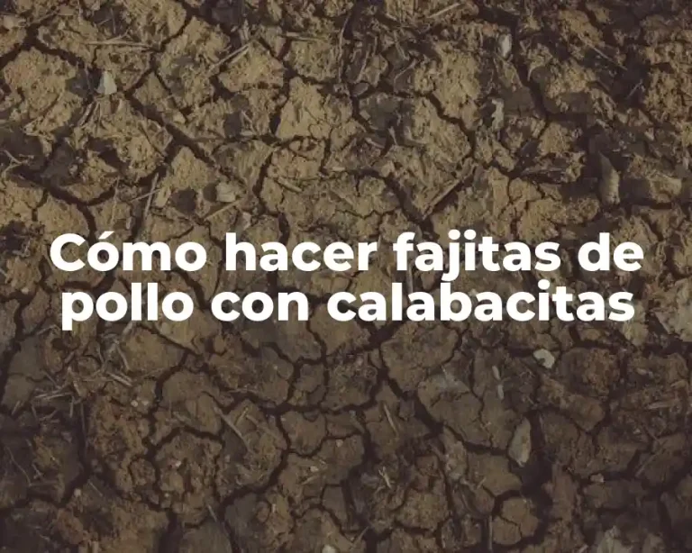 Cómo hacer fajitas de pollo con calabacitas