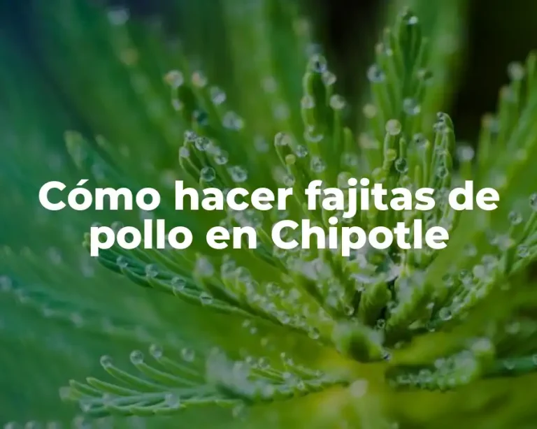 Cómo hacer fajitas de pollo en Chipotle