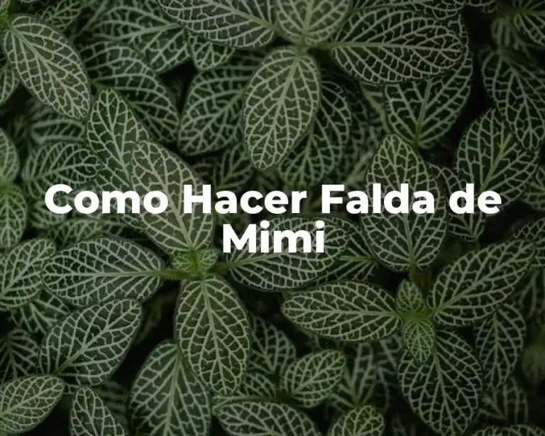 Como Hacer Falda de Mimi
