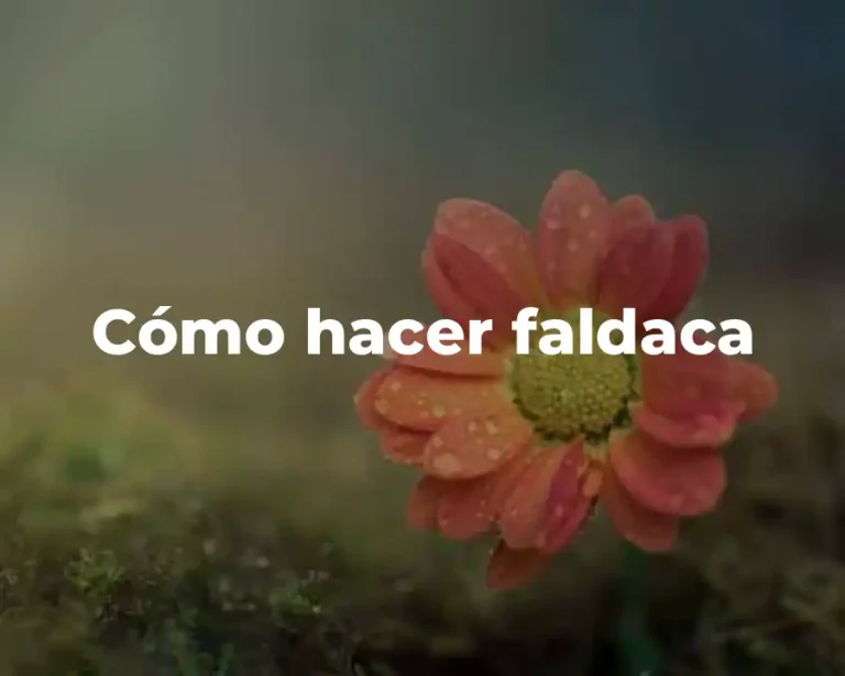 Cómo hacer faldaca