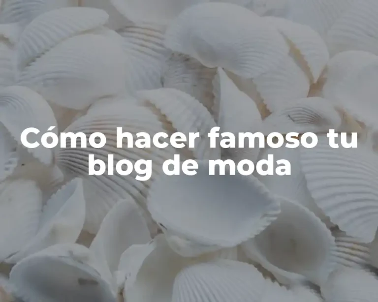 Cómo hacer famoso tu blog de moda