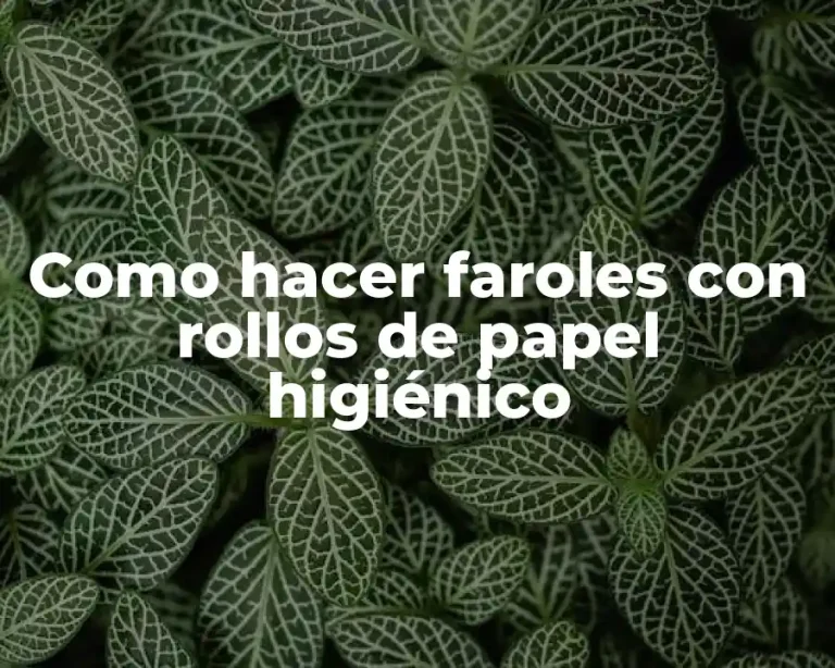 Como hacer faroles con rollos de papel higiénico