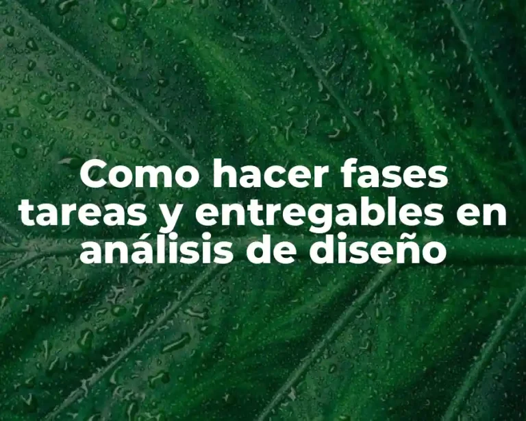 Como hacer fases tareas y entregables en análisis de diseño