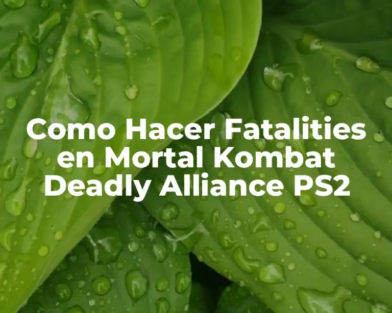 Como Hacer Fatalities en Mortal Kombat Deadly Alliance PS2