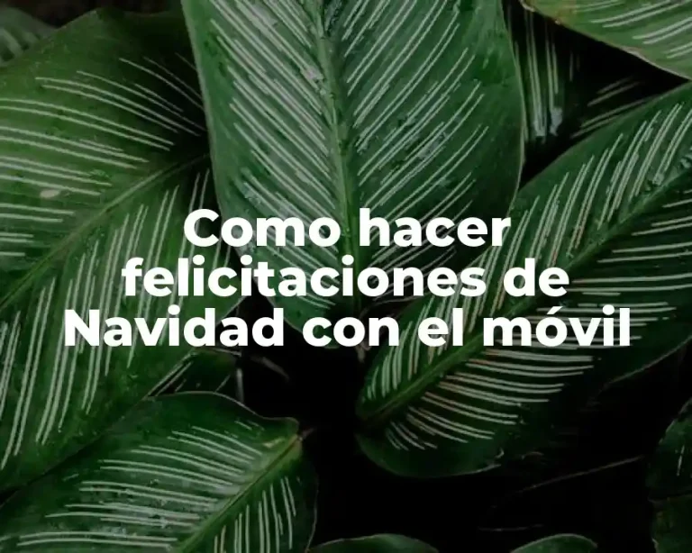 Como hacer felicitaciones de Navidad con el móvil
