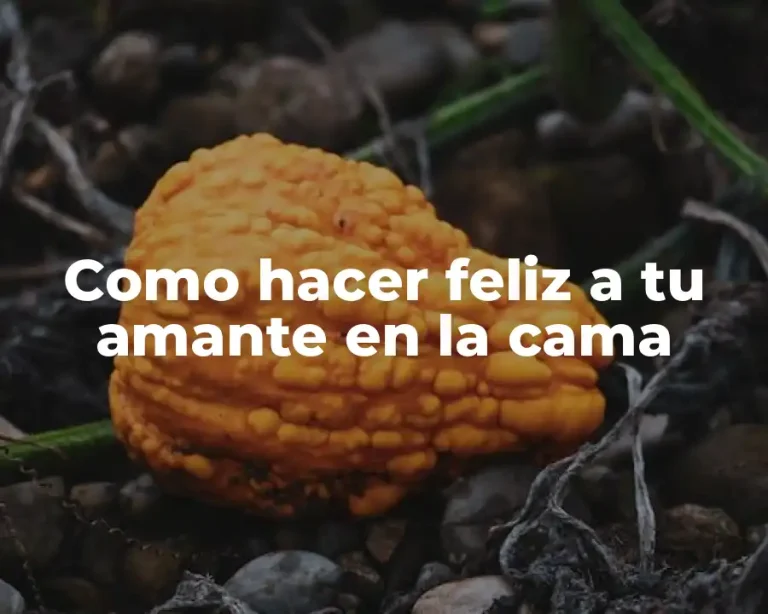 Como hacer feliz a tu amante en la cama