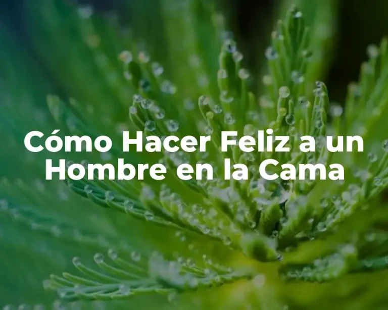 Cómo Hacer Feliz a un Hombre en la Cama