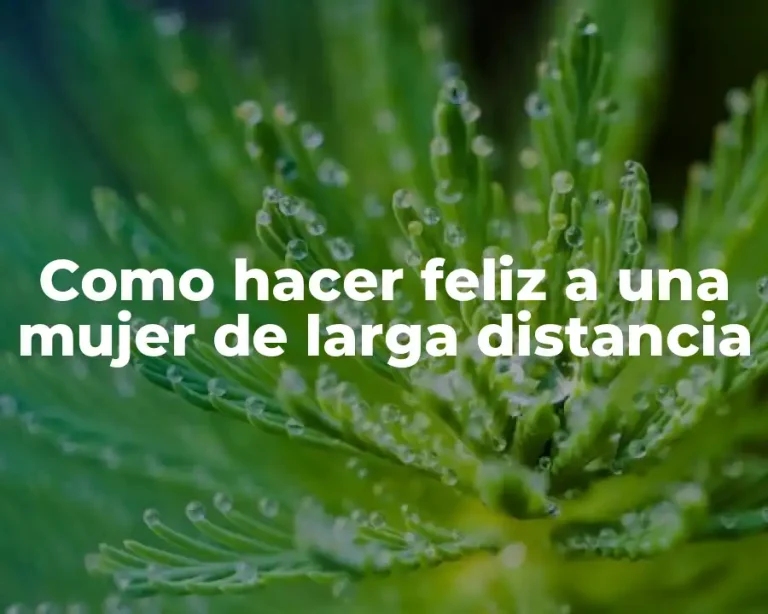 Como hacer feliz a una mujer de larga distancia