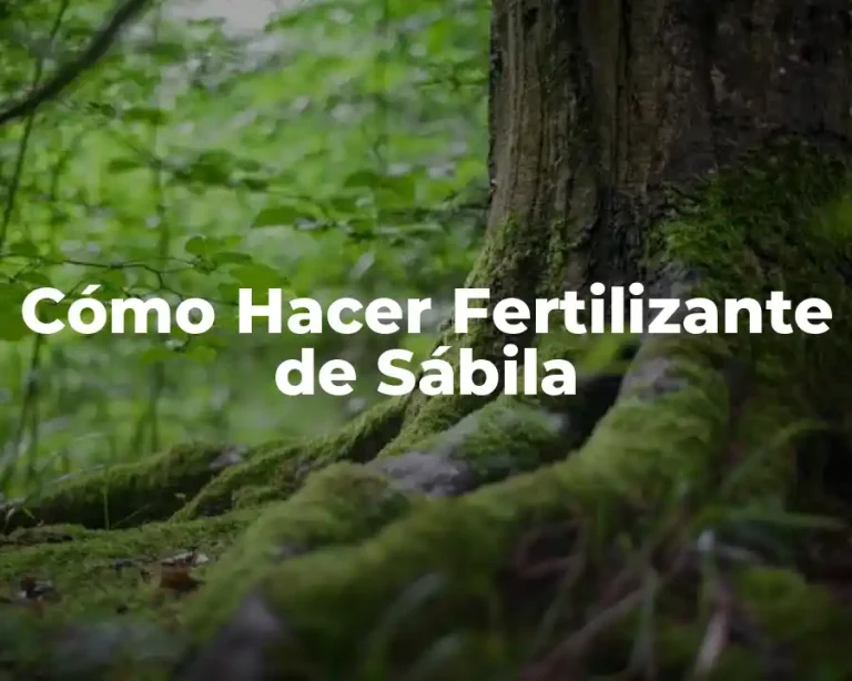Cómo Hacer Fertilizante de Sábila