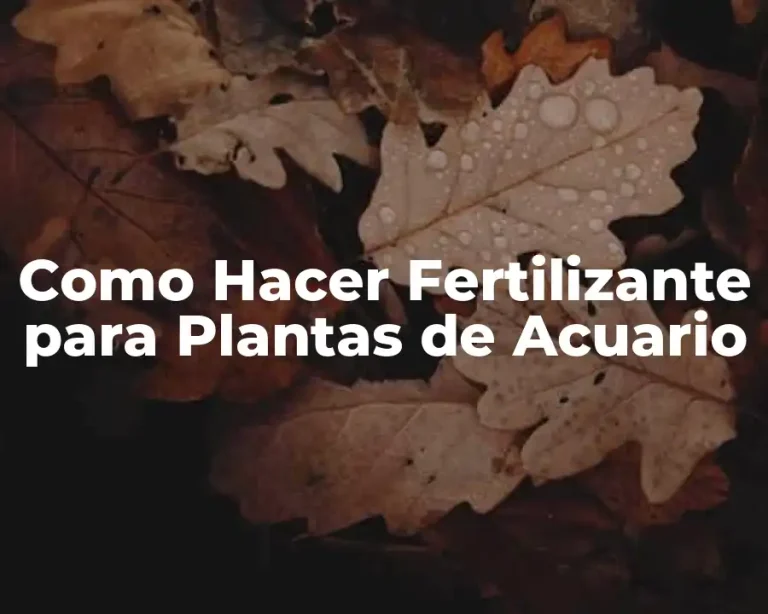Como Hacer Fertilizante para Plantas de Acuario