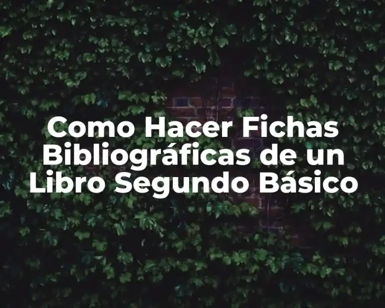 Como Hacer Fichas Bibliográficas de un Libro Segundo Básico